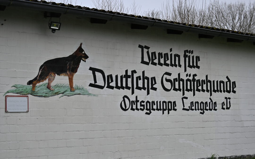 Rückblick auf die IGP Frühjahrsprüfung beim Schäferhundeverein Lengede